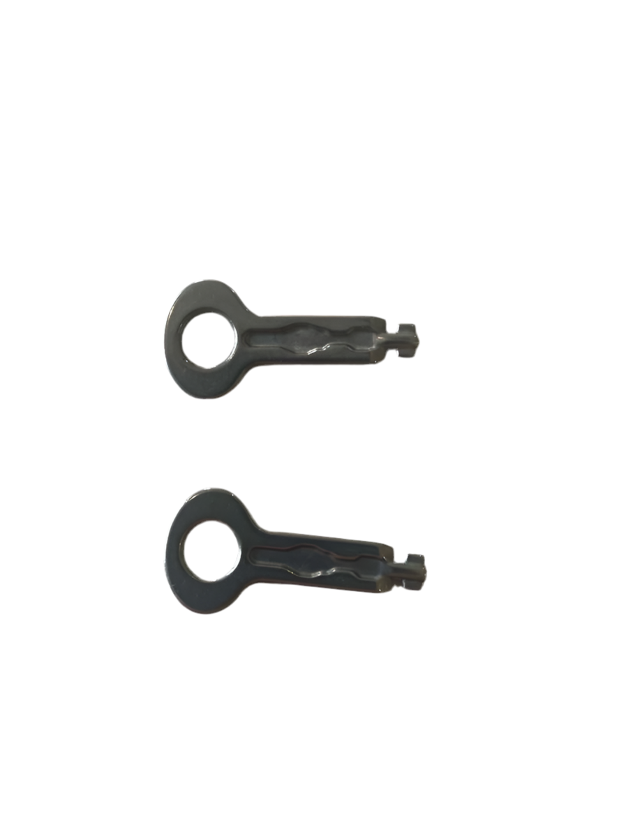 Two black metal keys on a white background