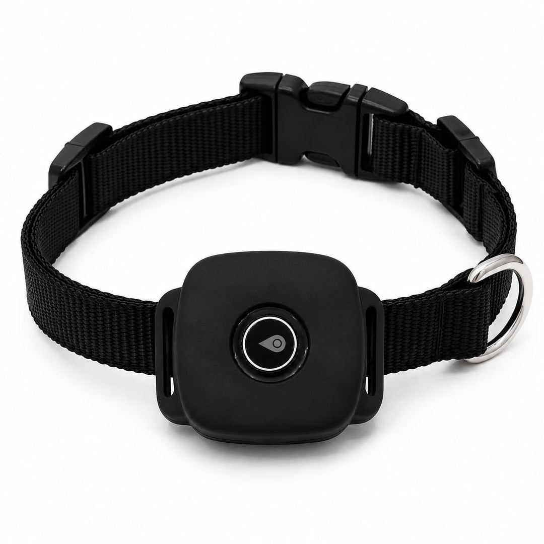 4G GPS Pet Tracker for Dogs