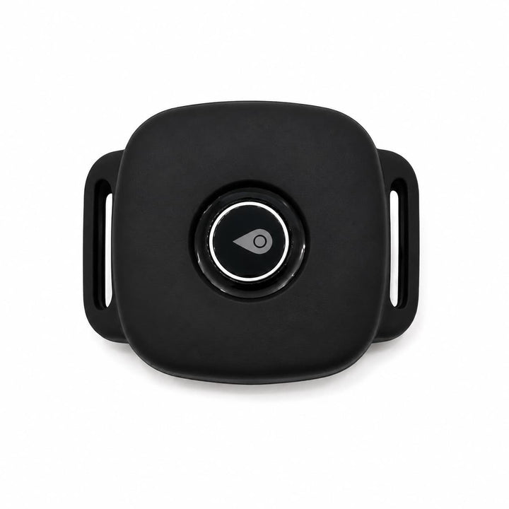 4G GPS Pet Tracker for Dogs