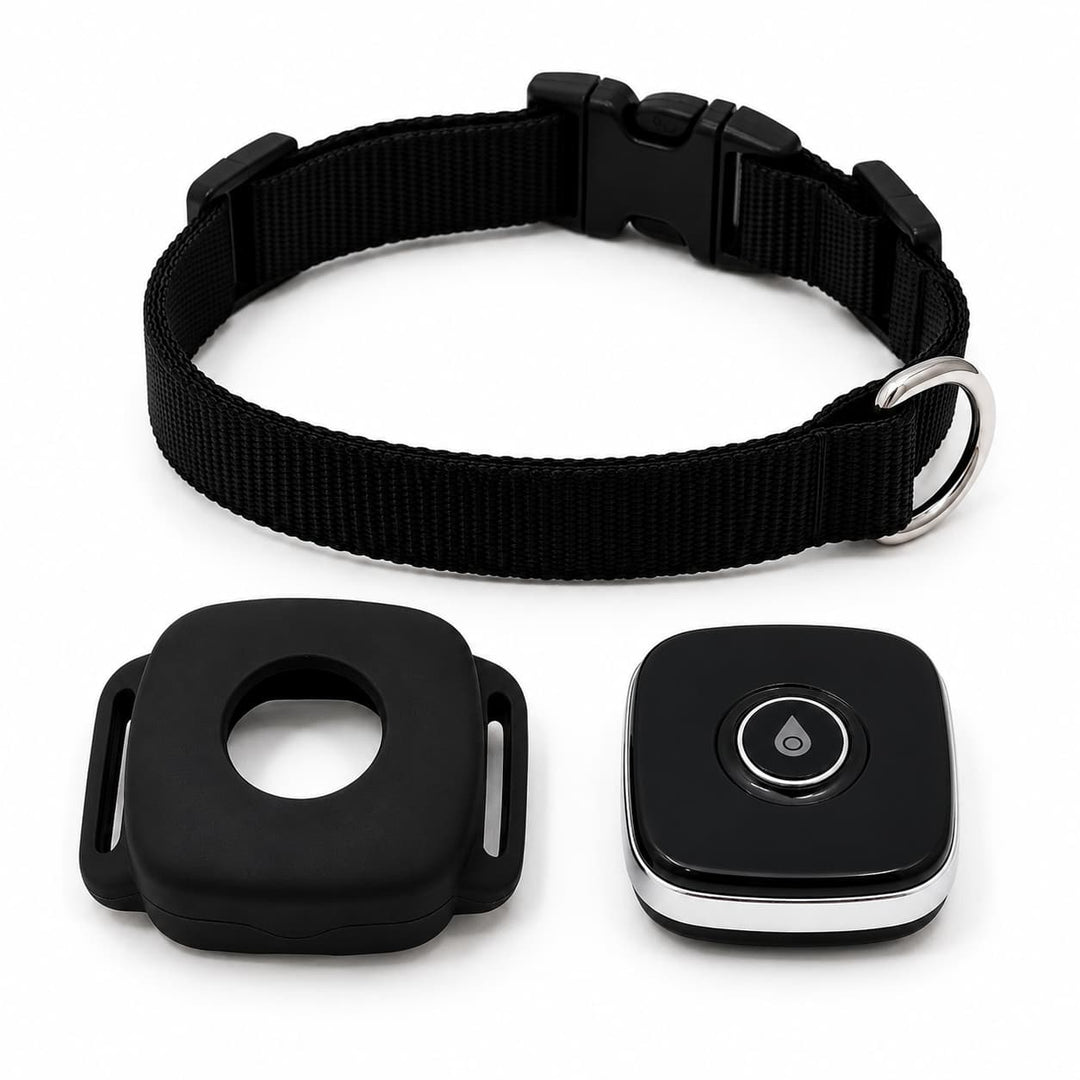 4G GPS Pet Tracker for Dogs