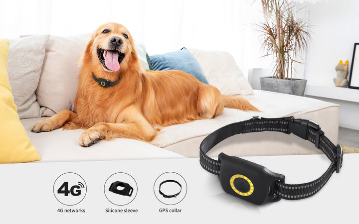 4G GPS Pet Tracker